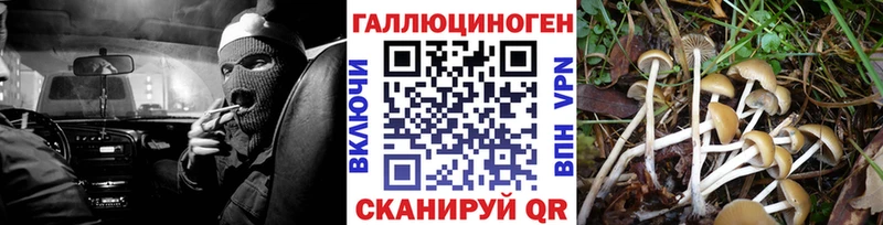 Псилоцибиновые грибы мухоморы дарнет шоп Таганрог
