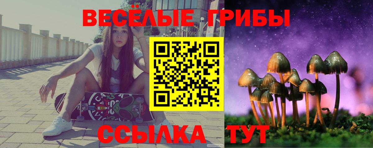 Таганрог  где продают   Вход с VPN  Галлюциногенные грибы MAGIC MUSHROOMS 